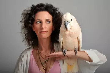 Felicity Ward: The Icebe