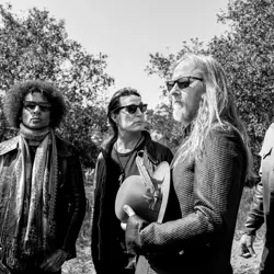 More Alice In Chains