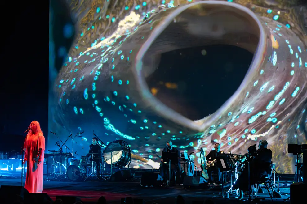 ANOHNI And The Johnsons