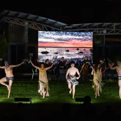 More Bowerbird Collective