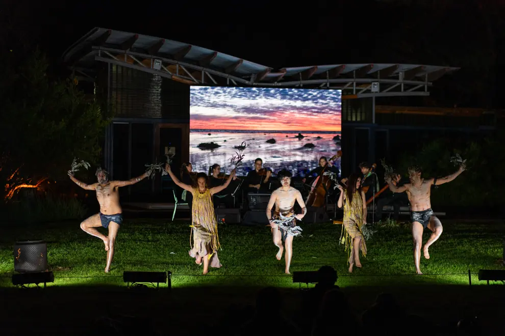 Bowerbird Collective