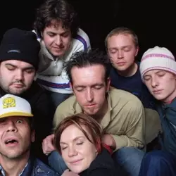 More The Brown Hornet