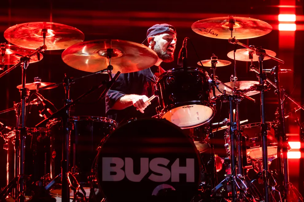 Bush