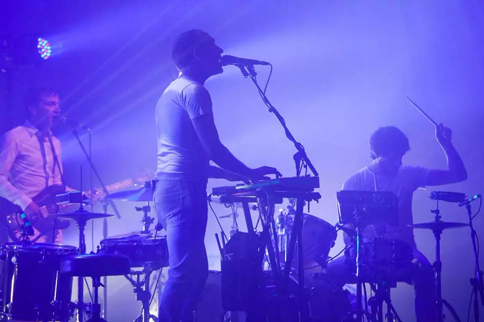 Caribou. Pic by Clare Hawley.