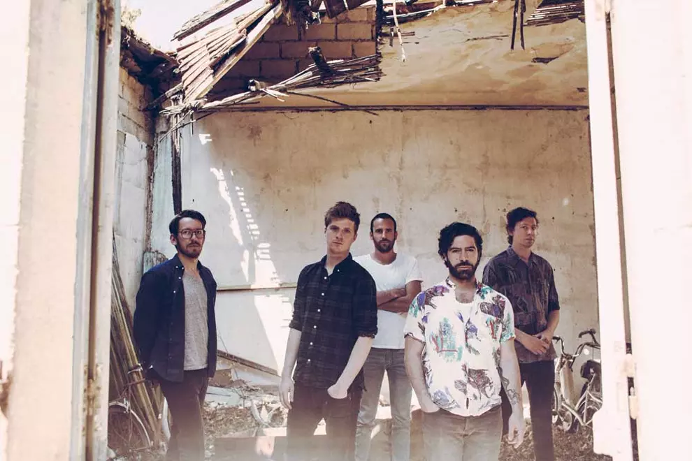 Foals