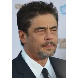 More Benicio Del Toro