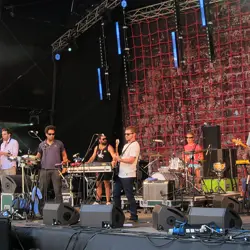 More The Black Seeds