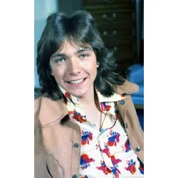 More David Cassidy