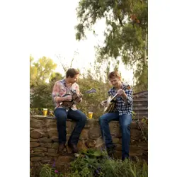 More Davidson Brothers