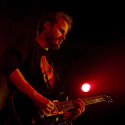 More If These Trees Could Talk