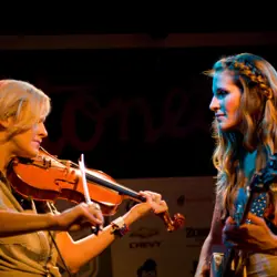 More Court Yard Hounds