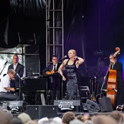 More Pink Martini