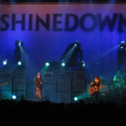 More Shinedown