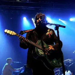 More Super Furry Animals