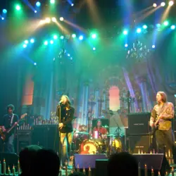 More The Black Crowes