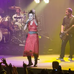 More The Cranberries