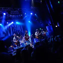 More The Wild Feathers