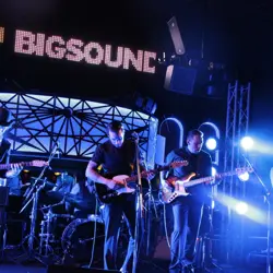 More The Dead Leaves