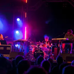 More Three Trapped Tigers