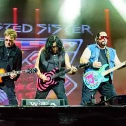 More Twisted Sister