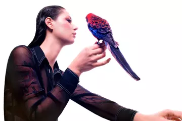 Grace Cummings is back with her first new tune since signing to US label