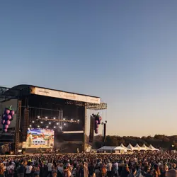 More Grapevine Gathering