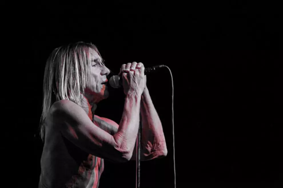 Iggy & The Stooges, Pic by Josh Groom