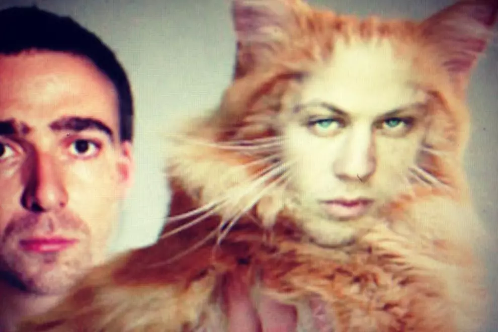 Cat pictures part of the production duties?