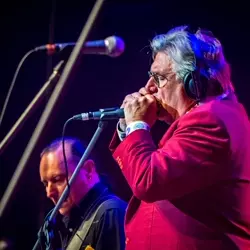 More Mental As Anything