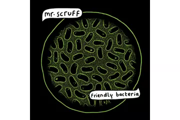 Mr Scruff