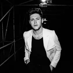 More Niall Horan