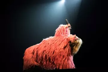 Photos by Bobby Rein