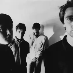 More Rabbits Wedding