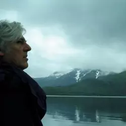 More Robyn Hitchcock