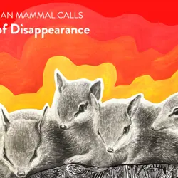 More Songs Of Disappearance