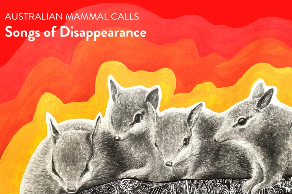 Songs Of Disappearance