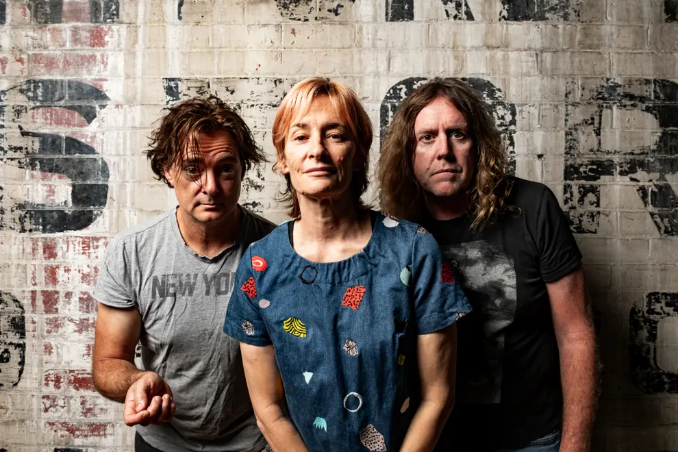 Spiderbait