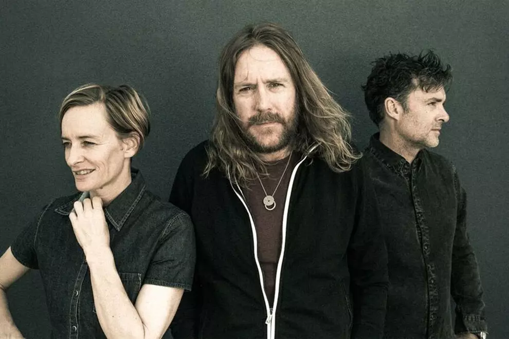 Spiderbait