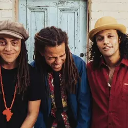 More True Vibenation