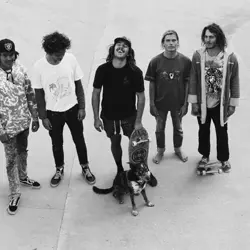 More Vanilla Gorilla