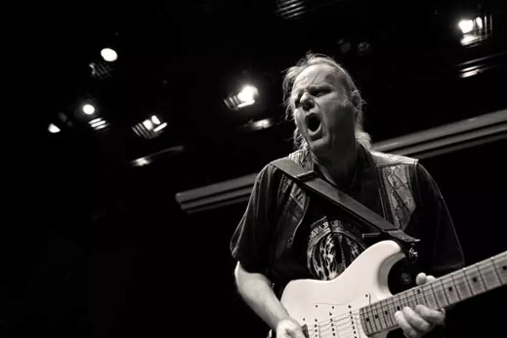 Walter Trout