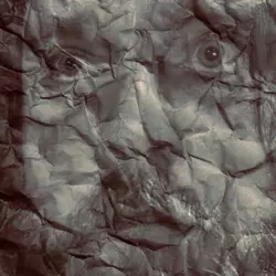 More Westminster Day Surgery