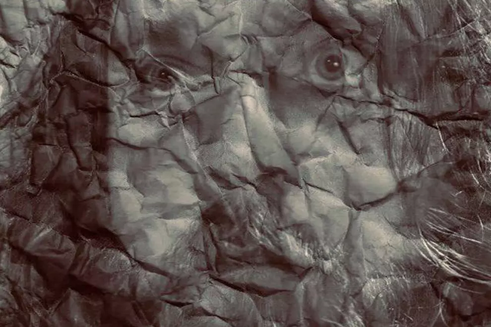 Westminster Day Surgery