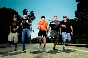 Zebrahead