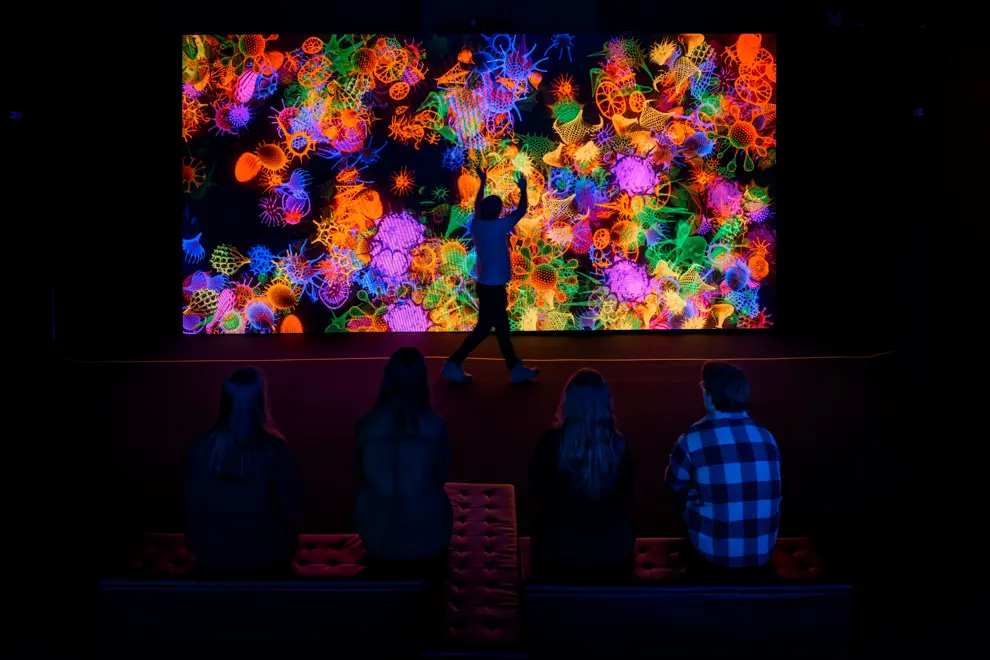Illuminate Adelaide