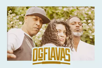 Digable Planets (pic by Chris Lee)