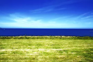 The view at Beyond The Valley's site on Phillip Island