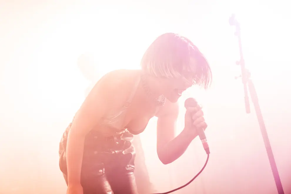 Gut Health, Dark Mofo 2025