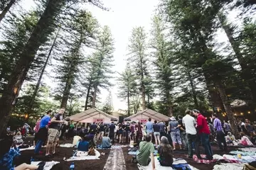 Pic by Rachel Barrett