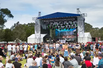 MMVAF 2015. Pic by Freya Lamont